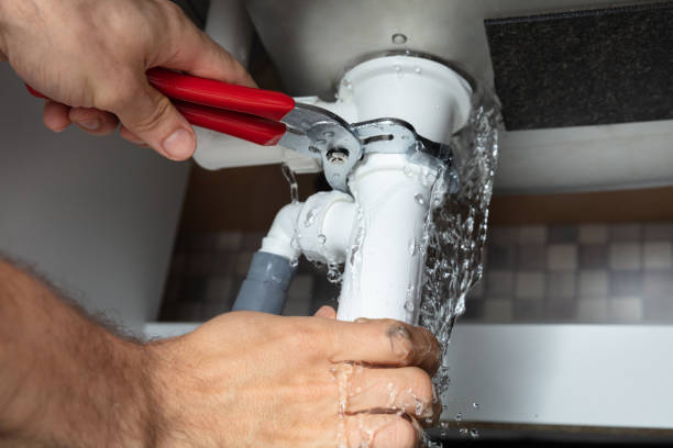 Best Fire Damage Restoration  in Falmouth, KY