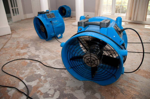 Best Water damage restoration company  in Falmouth, KY