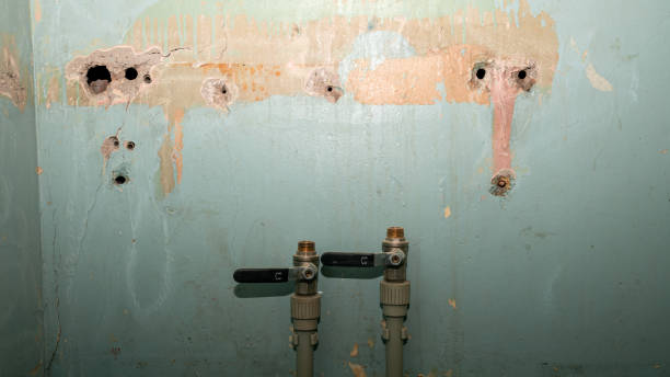 Best Mold removal after water damage  in Falmouth, KY