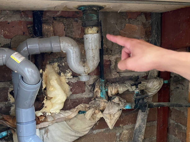 Best Ceiling water damage repair  in Falmouth, KY
