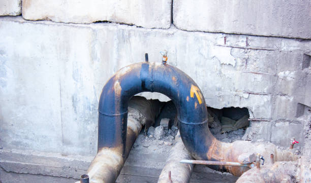Best Carpet water damage restoration  in Falmouth, KY
