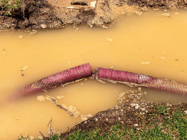 Best Local water damage restoration  in Falmouth, KY