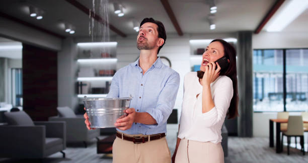 Best Flood restoration services  in Falmouth, KY